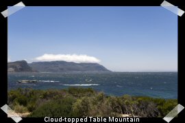 Table mountain